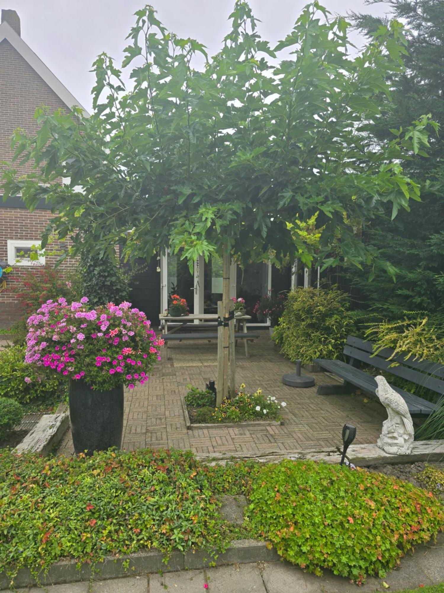 B&B Welkom 지릭제이 외부 사진